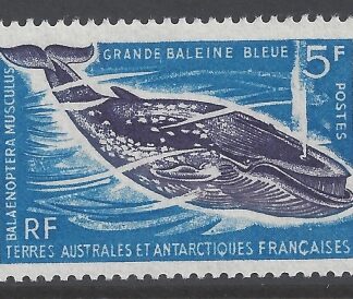 1966 French Antarctic - SG.26  5F Blue Whale U/M (MNH)