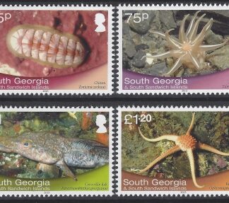 2013 South Georgia SG.594-7 Shallow Marine Surveys Group set of 4 values (with White Borders) U/M (MNH)
