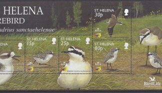 2002 St. Helena  MS.856 Birdlife International (1st Series) St. Helena Sand Plover. mini sheet. U/M (MNH)