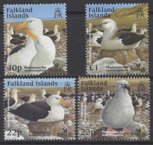 2003 Falkland Islands. SG.967-70   Birdlife International- Black-browed Albatross.  set 4 values  U/M (MNH)