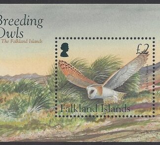 2004 Falkland Islands. MS.1001   Owls . mini sheet  U/M (MNH)