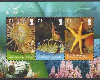 2013 Falkland Islands. MS.1272 Shallow Marine Survey Group. mini sheet U/M (MNH)