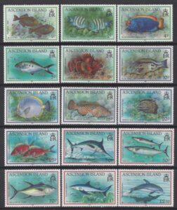 1991 Ascension Island. SG.554-68 Fish set 15 values U/M (MNH)