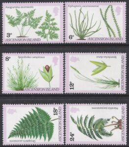 1980 Ascension Island. SG.258-63 Ferns & Grasses 6 values U/M (MNH)