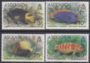 1980 Ascension Island. SG.270-3 Fish set 4 values U/M (MNH)