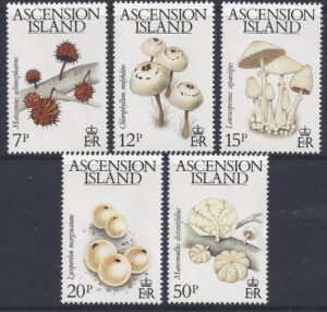 1983 Ascension Island. SG.332-6 Fungi. set 5 values U/M (MNH)