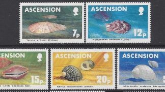1983 Ascension Island. SG.349-53  Sea Shells. set 5 values U/M (MNH)