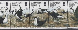 1988 Ascension Island. SG.469-73 Sea Birds (2nd series) Sooty Tern. set 5 values U/M (MNH)
