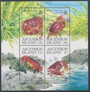 1989 Ascension Island. MS.491 Land Crabs. mini sheet. U/M (MNH)