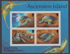 1994 Ascension Island. MS.628 Green Turtles mini sheet U/M (MNH)