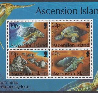 1994 Ascension Island. MS.628  Green Turtles mini sheet  U/M (MNH)