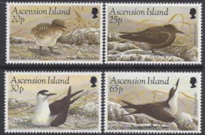 1994 Ascension Island. SG.633-6 Sooty Tern. set 4 values U/M (MNH)