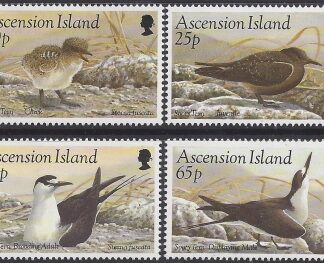 1994 Ascension Island. SG.633-6  Sooty Tern. set 4 values U/M (MNH)