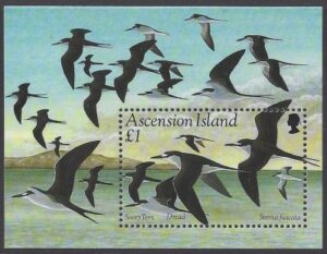 1994 Ascension Island. MS.637 Sooty Tern. mini sheet U/M (MNH)