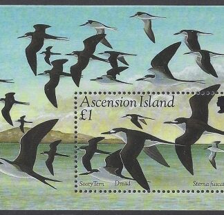 1994 Ascension Island.  MS.637  Sooty Tern. mini sheet U/M (MNH)