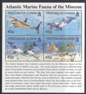 1998 Tristan Da Cunha. MS.638 Atlantic Marine Fauna (2nd series) Miocene Epoch. mini sheet U/M (MNH)