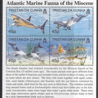 1998 Tristan Da Cunha. MS.638  Atlantic Marine Fauna (2nd series) Miocene Epoch. mini sheet U/M (MNH)