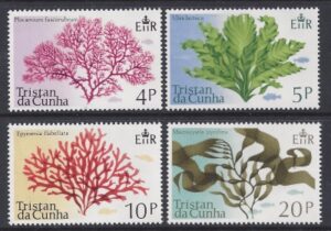 1975 Tristan Da Cunha. SG.196-9 Sea Plants. set 4 values U/M (MNH)