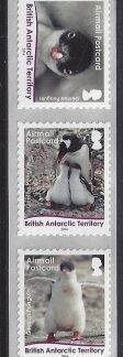 2016 British Antarctic. SG.711-5  Gentoo Penguins self Adhesive Coil strip. set 5 values U/M (MNH)