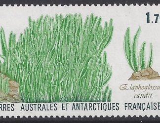 1980 French Antarctic - SG.232 Elephant Grass U/M (MNH)