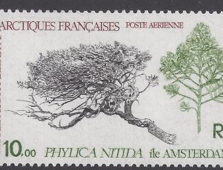 1980 French Antarctic - SG.147  AIR. 'Phylica nitida'   U/M (MNH)