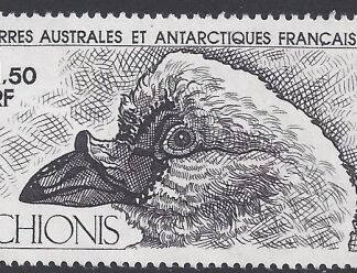1981 French Antarctic - SG.162  'AIR' Sheathbill.   U/M (MNH)