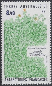 1990 French Antarctic. SG.266  Ranunculus pseudo trullifolius.   U/M (MNH)
