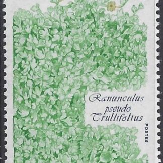 1990 French Antarctic. SG.266  Ranunculus pseudo trullifolius.   U/M (MNH)