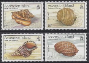 1989 Ascension Island. SG.506-9 Sea Shells. set 4 U/M (MNH)