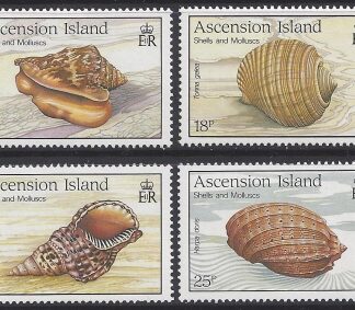 1989 Ascension Island. SG.506-9  Sea Shells.  set 4 U/M (MNH)