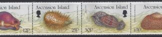 1996 Ascension Island.  SG.667a Molluscs. strip of 4 values (SG.667-70) U/M (MNH)