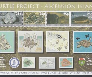 2000 Ascension Island. MS.799 Turtle Project on Ascension. mini sheet.  U/M (MNH)