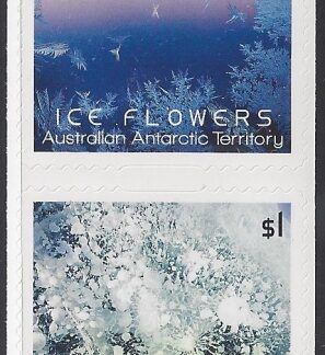 2016 Australian Antarctic.  SG.269-70 Ice Flowers. self Adhesive  set 2  values U/M (MNH)