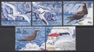 2005 Ascension Island. SG.921-5 Birdlife International (3rd series). The Seabirds Return. set 5 values U/M (MNH)