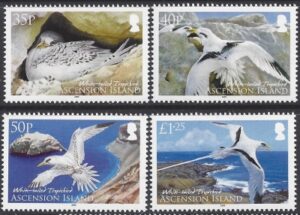 2009 Ascension Island. SG.1060-3 White Tailed Tropic Bird. set 4 values U/M (MNH)