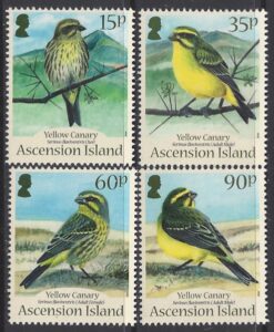 2010 Ascension Island. SG.1082-5 Yellow Canary set 4 values U/M (MNH)