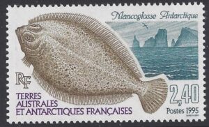 1995 French Antarctic. SG.336  Southern Flounder. U/M (MNH)