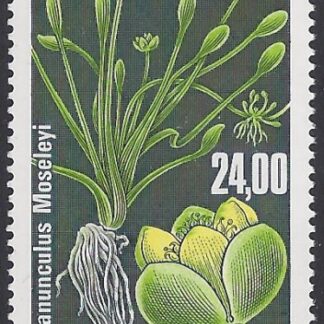 1998 French Antarctic. SG.389 Ranunculus Moseleyi. U/M (MNH)