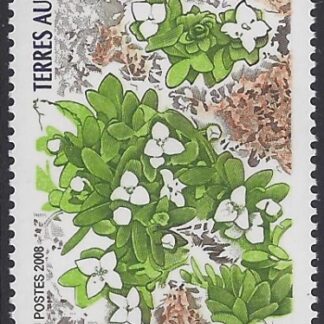 2003 French Antarctic. SG.511  Cabot. U/M (MNH)
