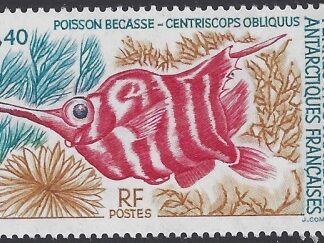 1993 French Antarctic.  SG.314  Red banded Snipefish. U/M (MNH)