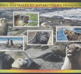 2008 French Antarctic.  MS.601 Elephant Seals. mini sheet.  U/M (MNH)