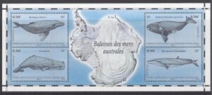 2011 French Antarctic.  MS.639  Baleen Whales.  mini sheet U/M (MNH)