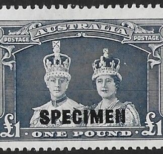 1937-49  Australia.  SG.178s  £1 bluish slate - overprint Specimen. (with RPS cert.) lightly mounted mint.