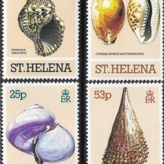 1981 St. Helena. SG.381-4 Sea Shells set 4 values U/M (MNH)