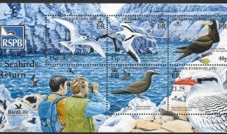 2005  Ascension Island.  MS.926  Birdlife International  mini sheet  (3rd series)  U/M (MNH)