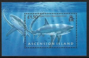 2008 Ascension Island. MS.1003 Sharks. mini sheet U/M (MNH)