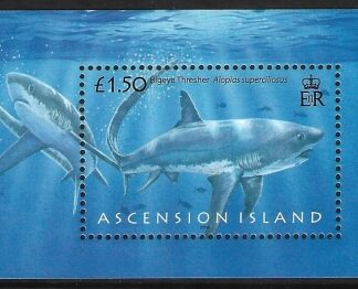 2008  Ascension Island.  MS.1003  Sharks.  mini sheet U/M (MNH)