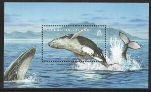 2009 Ascension Island. MS.1033 Whales & Dolphins. mini sheet U/M (MNH)