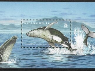 2009  Ascension Island.  MS.1033  Whales & Dolphins.   mini sheet U/M (MNH)