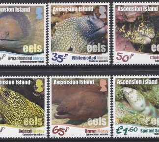 2017 Ascension Island SG1264-9 Eels Set 6 Values U/M (MNH